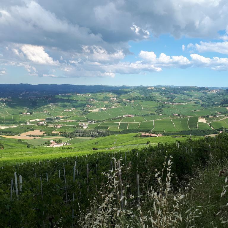 B&B Fior Di Farine La Morra Exteriér fotografie
