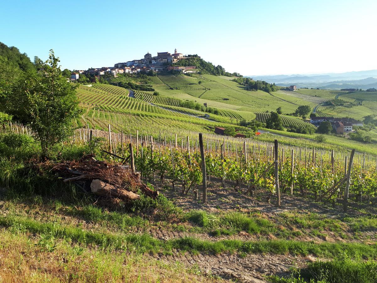 B&B Fior Di Farine La Morra Exteriér fotografie